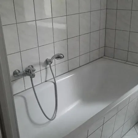 Zwischen-zentrum-und-elbe-erdgeschosswohnung-mit-terrasse-in-dresden Apartment *
