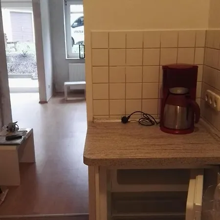Zwischen-zentrum-und-elbe-erdgeschosswohnung-mit-terrasse-in-dresden Apartment Dresden
