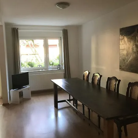 Zwischen-zentrum-und-elbe-erdgeschosswohnung-mit-terrasse-in-dresden Апартаменты *