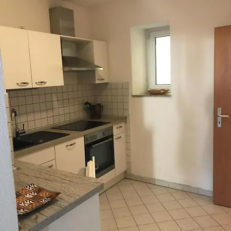 Zwischen-zentrum-und-elbe-erdgeschosswohnung-mit-terrasse-in-dresden *